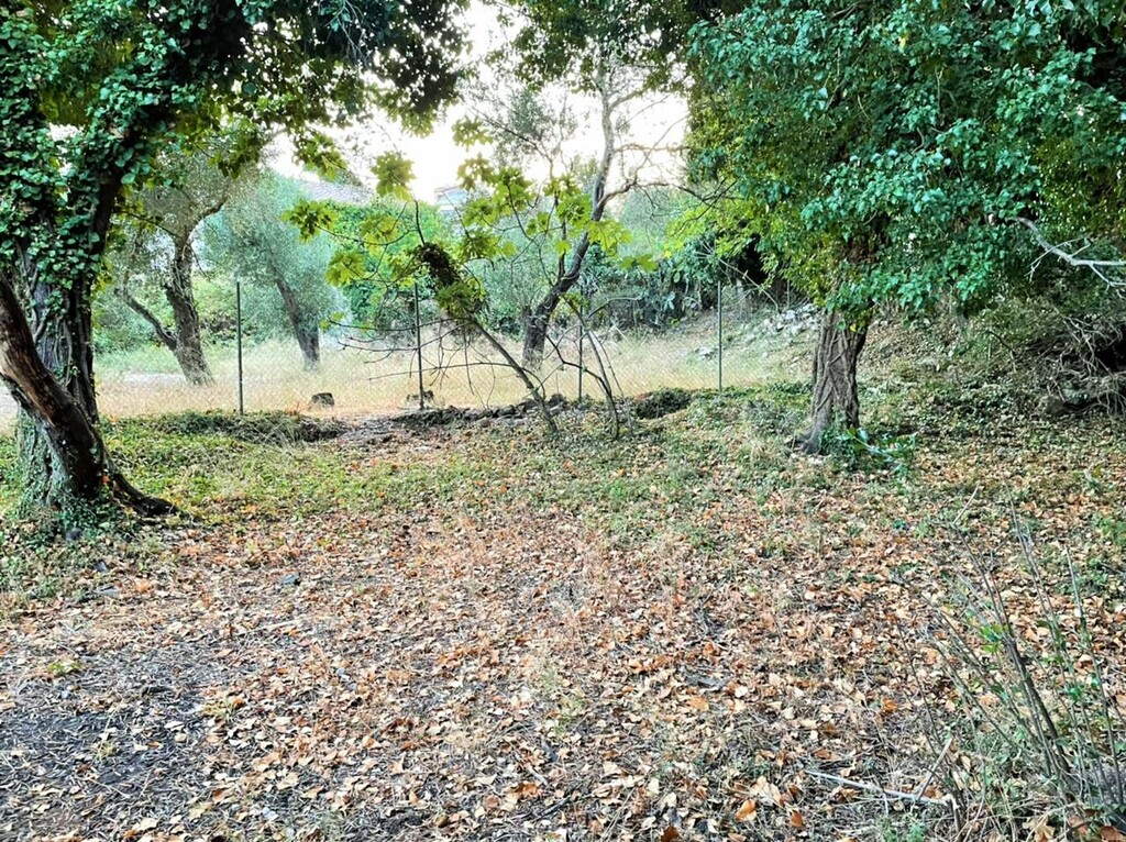 Land in Corfu, Corfu Prefecture, Greece – 48350