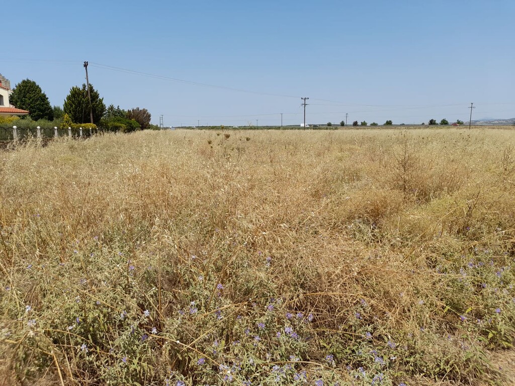 Land in Chalkidiki/other, Chalkidiki, Greece – 48315