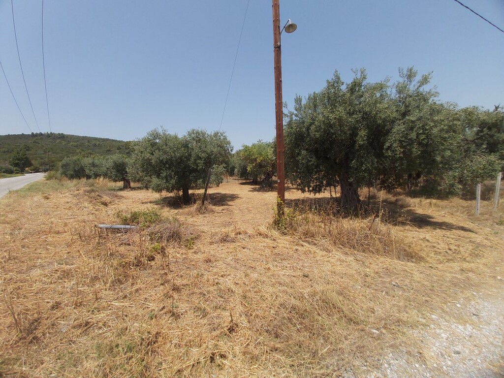 Land in Sithonia, Chalkidiki, Greece – 48310