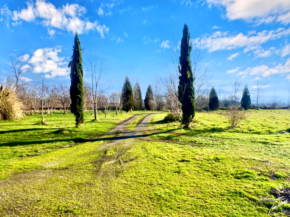 18C MANOIR/COURTYARD SETTING/4HA/POOL/BARNS/3-5BEDS/4 RECEPTION/PIGEONNER TOWER/MOUNTAIN VIEWS