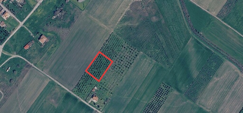 Land in Korinos, Pieria Prefecture, Greece – 67094