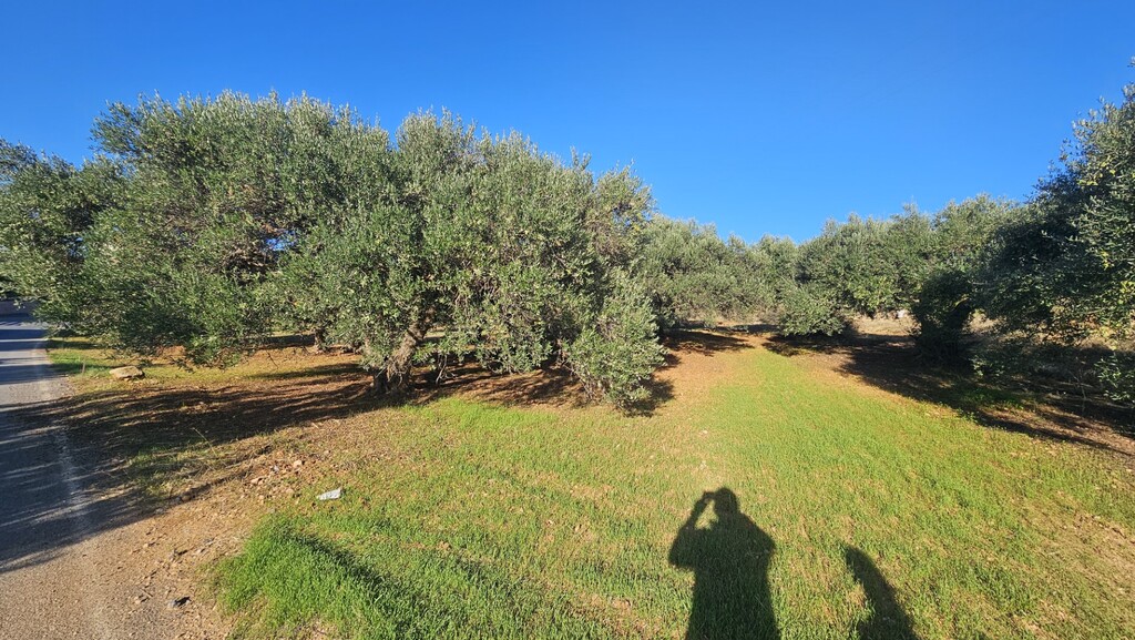 Land in Gouves, Heraklion Prefecture, Greece – 67068