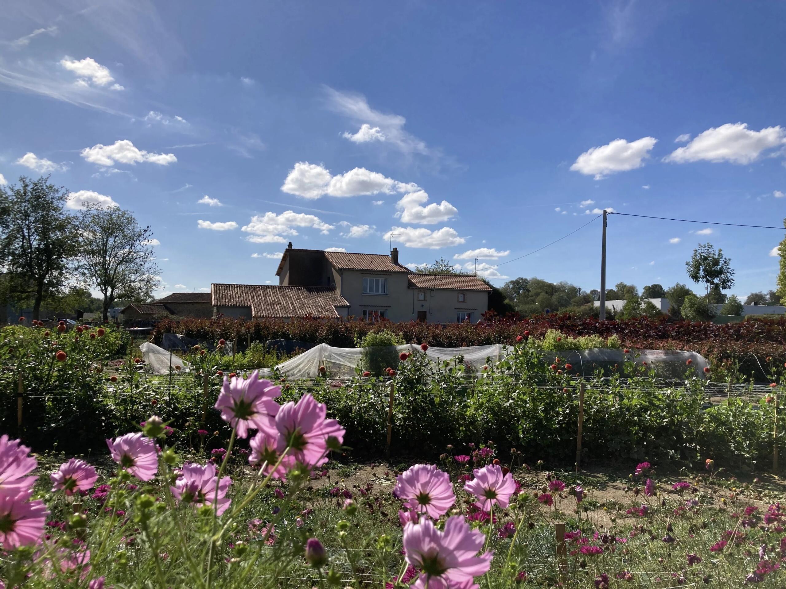 Stone farm with 4 hectares, Nouvelle-Aquitaine – France – BVI87423