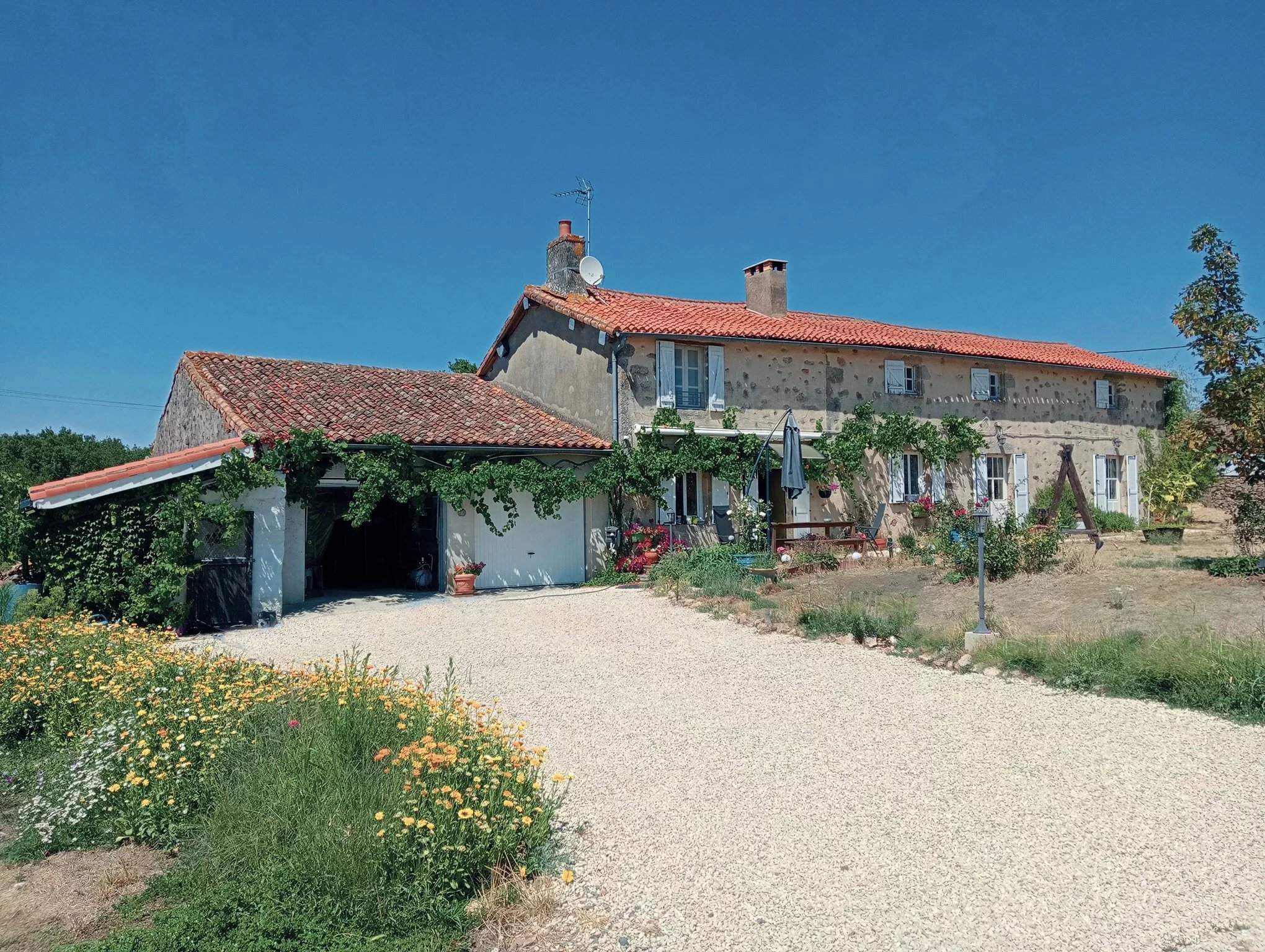 Renovated farmhouse with 4ha, Nouvelle-Aquitaine – France – BVI86734
