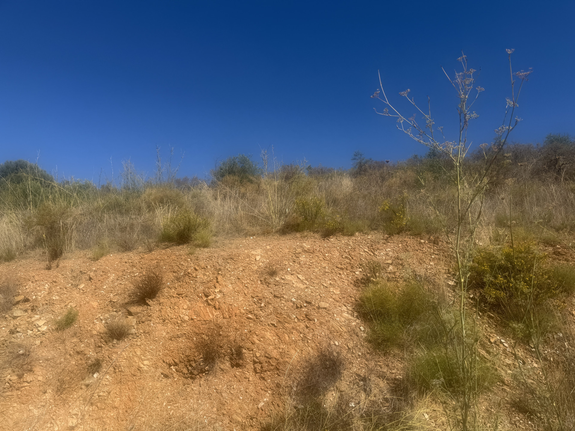 Plot in Mijas, Malaga, Spain – 428-05809P