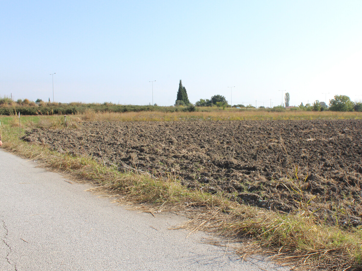 Land in Katerini, Pieria Prefecture, Greece – 51388