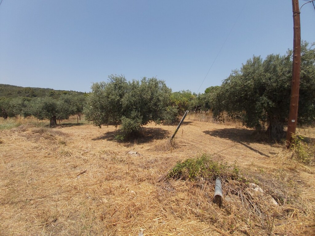 Land in Sithonia, Chalkidiki, Greece – 48310