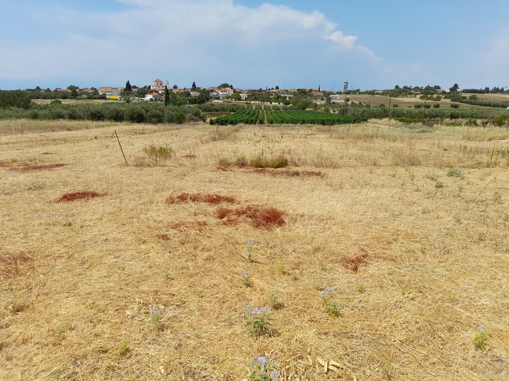 Land in Nea Propontida, Chalkidiki, Greece – 48301