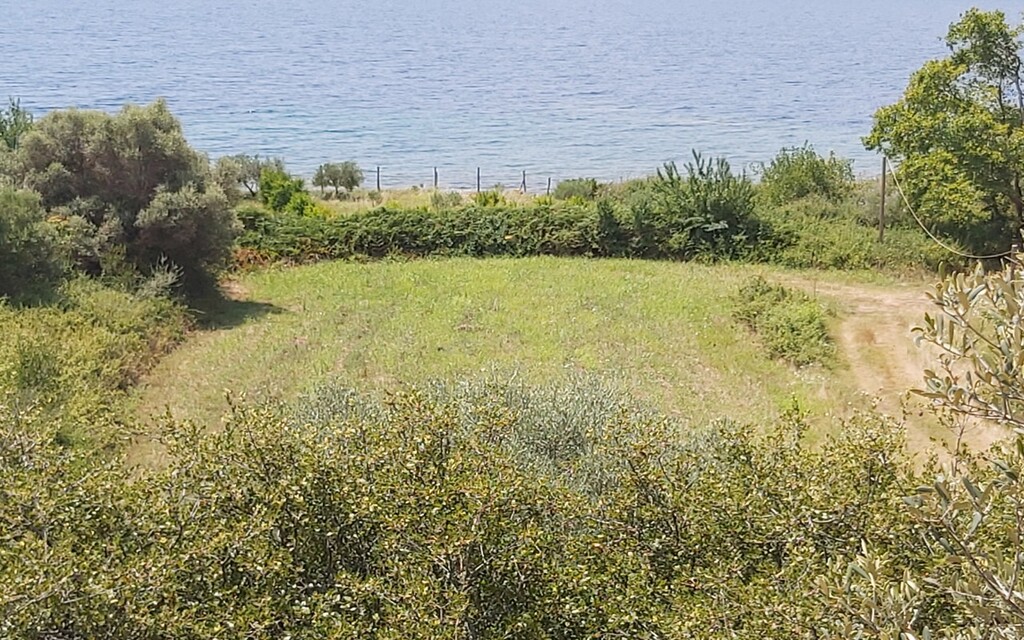 Land in Aristotle, Chalkidiki, Greece – 47802