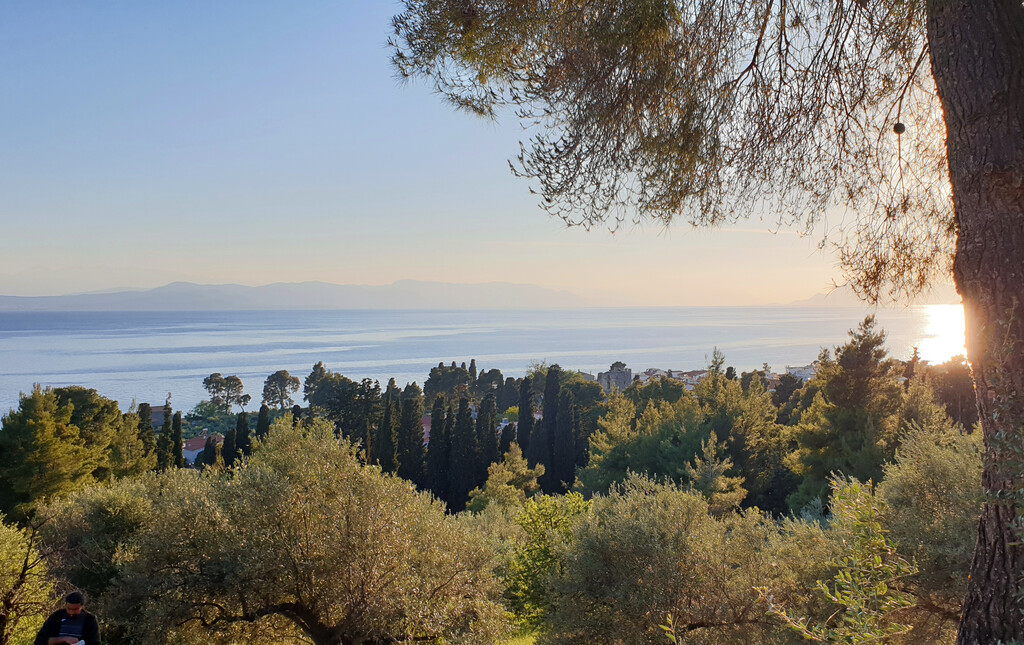 Land in Limni, Evia, Greece – 47797