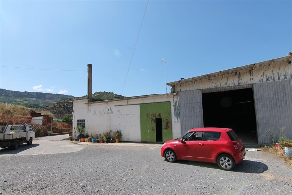 Business in Tetrachori, Heraklion Prefecture, Greece – 47661