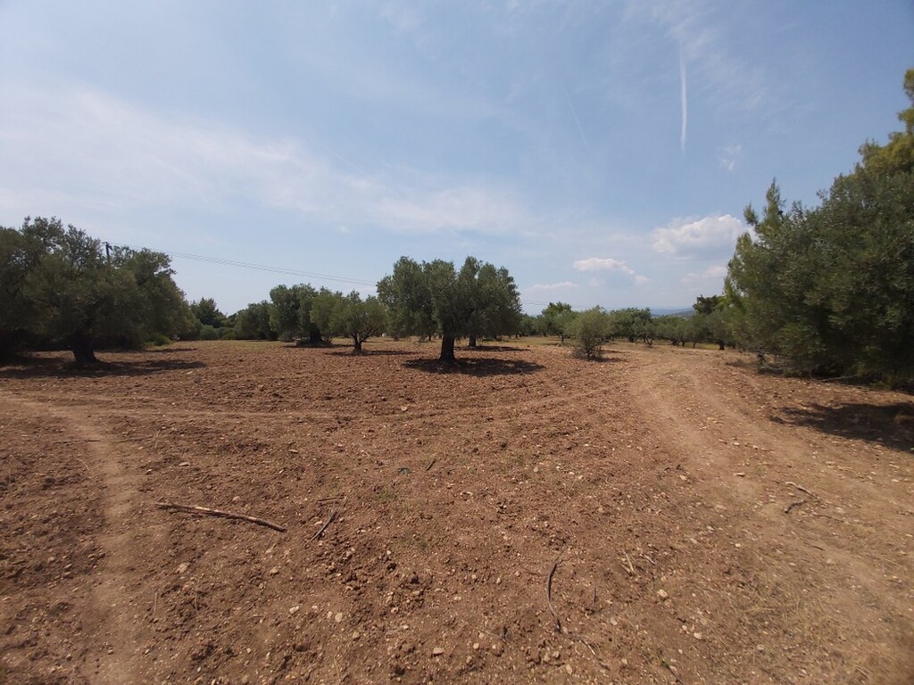 Land in Sithonia, Chalkidiki, Greece – 47642