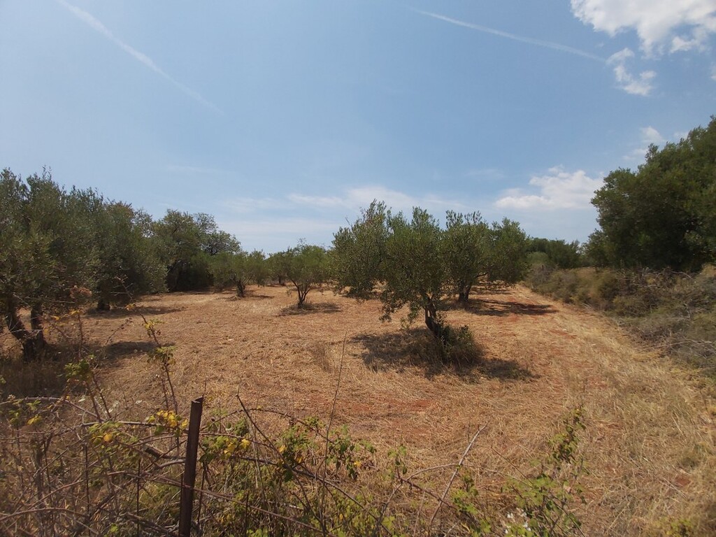 Land in Sithonia, Chalkidiki, Greece – 47641